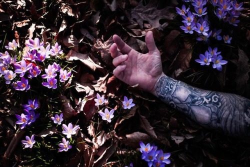 nanukjf: @kylekriegerhair ’s arm (at Brooklyn Botanic Garden)