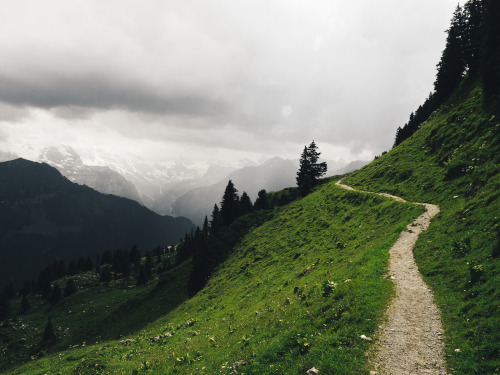 90377: Alpine by Andrew Ridley Bernese Oberland, Switzerland. Olympus OM-D E-M10. Website I Facebook