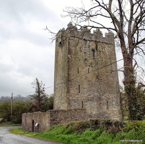 irisharchaeology:The impressive remains of Clara castle, Co Kilkenny. This largely intact tower hous