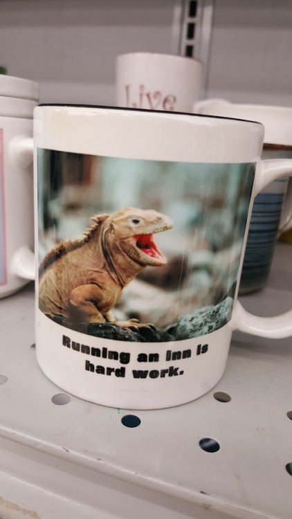 berserk-al: shiftythrifting: A rather confusing mug found in a Goodwill in Northeast Ohio. No, no co