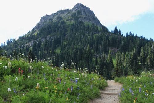 burningmine:Naches Peak Loop, August 2020