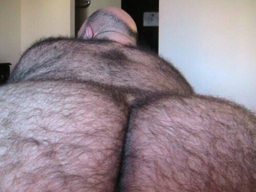 dutchbear74:  I’m hungry for some Hairy Big Ass 🔝