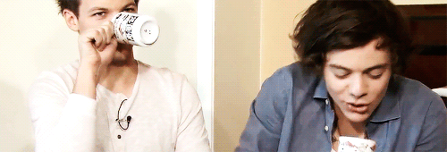 btwmalik:  Louis and Harry being idiots together. 