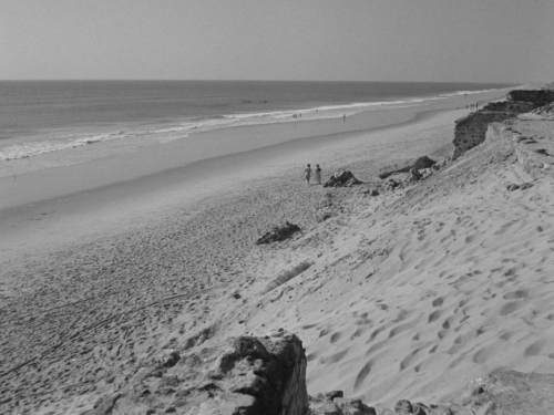 Charulata (1964, Satyajit Ray)