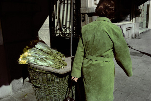 super-into-on-it:  Harry Gruyaert:Made in Belgium. Town of Liège. Belgium. 1981 ©