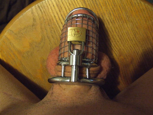 huskyfur:  Going on third day chastity; master will be happy. First time in chastity. How long will master make me stay caged for the first time? 