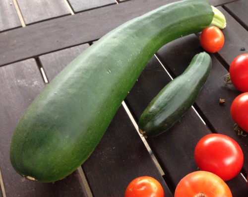 I think I left a zucchini on the vine a bit too long.