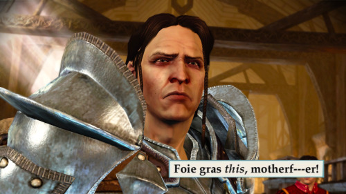 polarcapsicles:Dragon Age: Origins Companions + The Mincing Mockingbird Guide To Troubled BirdsI kno