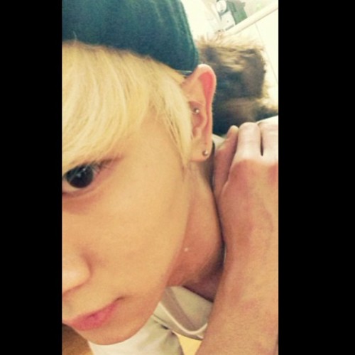 fydivakey:  130328 Key instagram update bumkeyk: Commde loves to be on my back :-) 