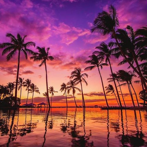 Sunset Perfection! #hawaii #beachlife R/P @readysetjetset xx