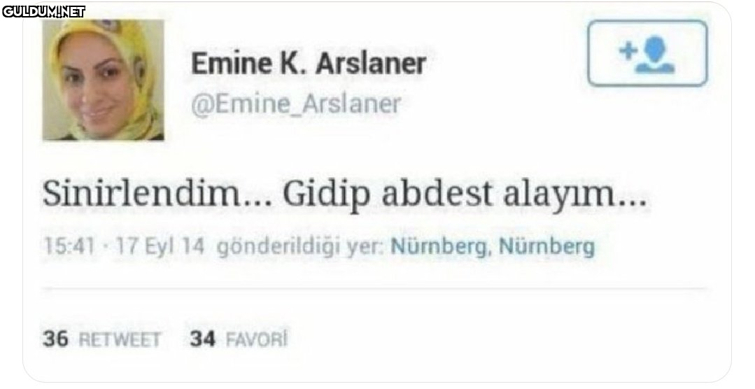 Emine K. Arslaner...