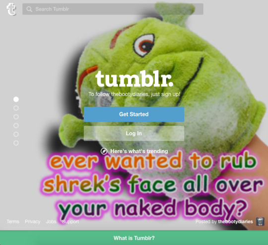 Tumblr media