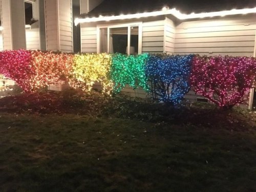 gaywrites:  This woman made a rainbow display out of 10,000 Christmas lights to defy her homophobic neighbor. Lexi Magnusson, who lives outside of Seattle, says that a new neighbor stopped by her house to explain that she’d moved to “protect”