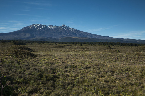 buhlersdayoff:For now I am in Whakapapa Village (pronounced Fahka-papa, not even kidding) in Tongari