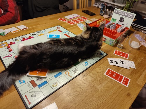 Anybody Wanna Play Monopoly?