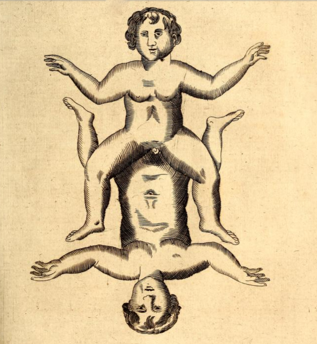 magictransistor: Gaspar Schott. Physica Curiosa, Mirabilia Naturæ et Artis. 1662.