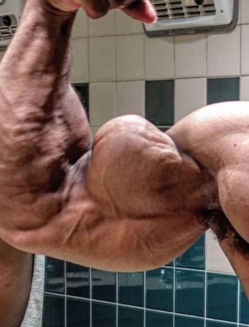 Massive Arms & Bulging Biceps