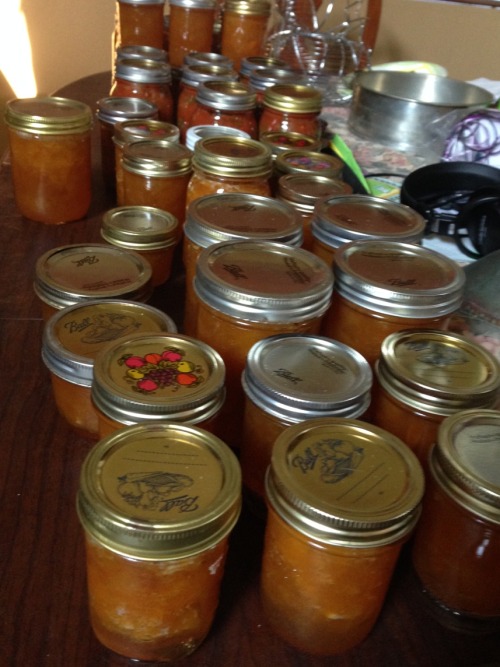 A busy canning day! We canned 10 pints of marinara sauce, 14 pints of peach jam, and 8 ½ pint