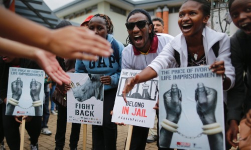 Elephant poaching: thousands march worldwide for wildlife protection via The GuardianThousands march