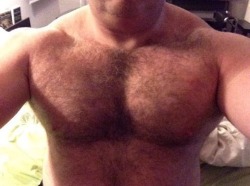 gymbear:  hrymusclenlv