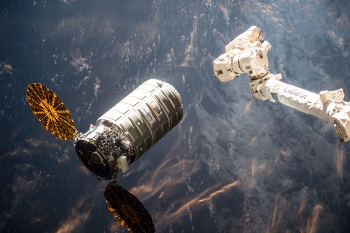 for-all-mankind: Another image of Cygnus OA-6 arriving at the International Space Station last week.