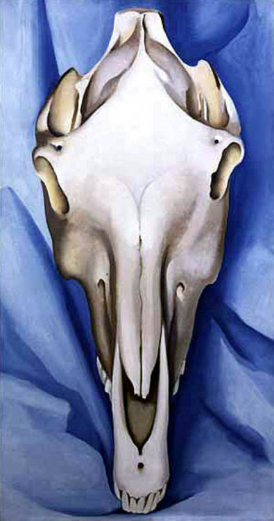 georgia-o-keeffe:Horse’s Skull on Blue, 1930, Georgia O'Keeffe