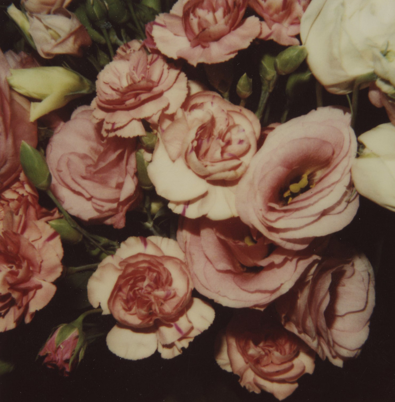 jimlovesart: Nobuyoshi Araki - Pink Bouquet, 2006. 