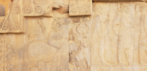 khabnama:reliefs in persepolis