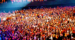 lovesthebeat:  &ldquo;I’ve seen some fans wearing orange. I don’t know if