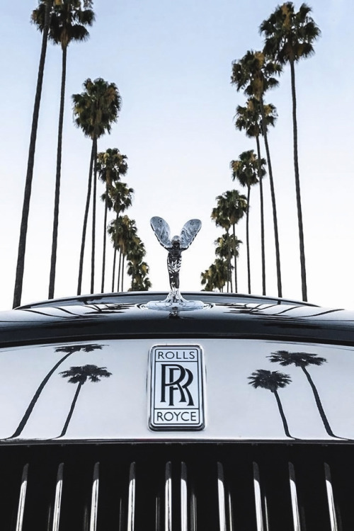 souhailbog:
“ RR By  ExoticHyperCars  ”