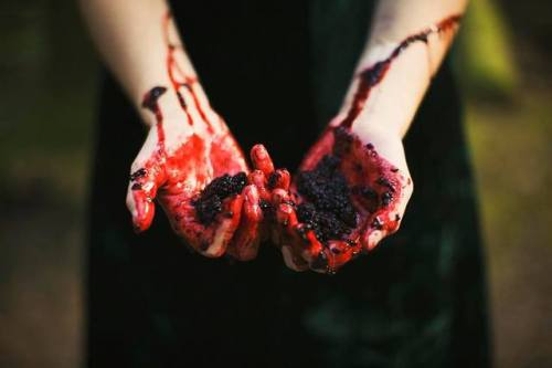 Sarah Ann Loreth (American, b. FL, USA, based New Hampshire) - Untitled, 2014  Photography
