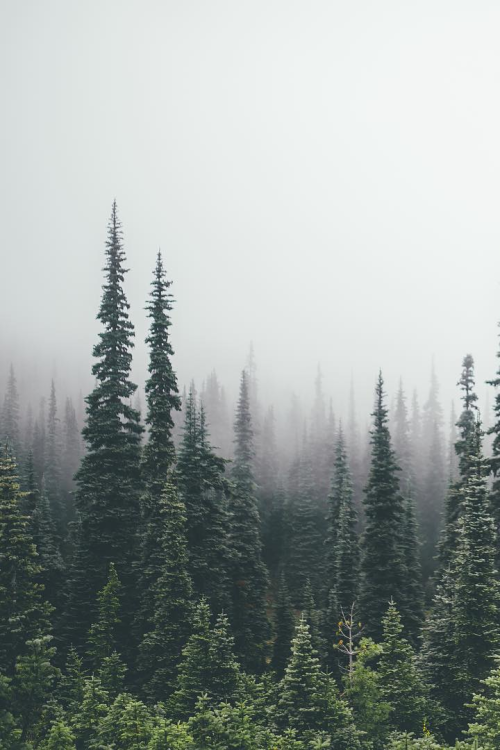 earth-dream:Untitled | Photographer