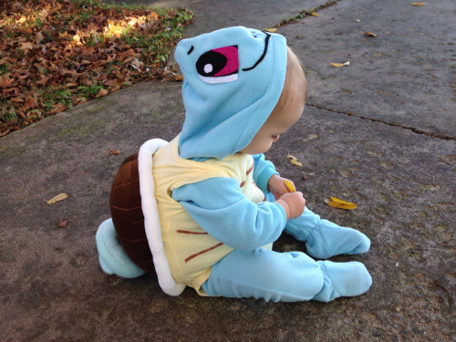 lol-im-gay-xd:  hairstylesbeauty:  I found a baby Squirtle! Happy Halloween! (source)  I think I just died from the amount of cuteness in this photo  