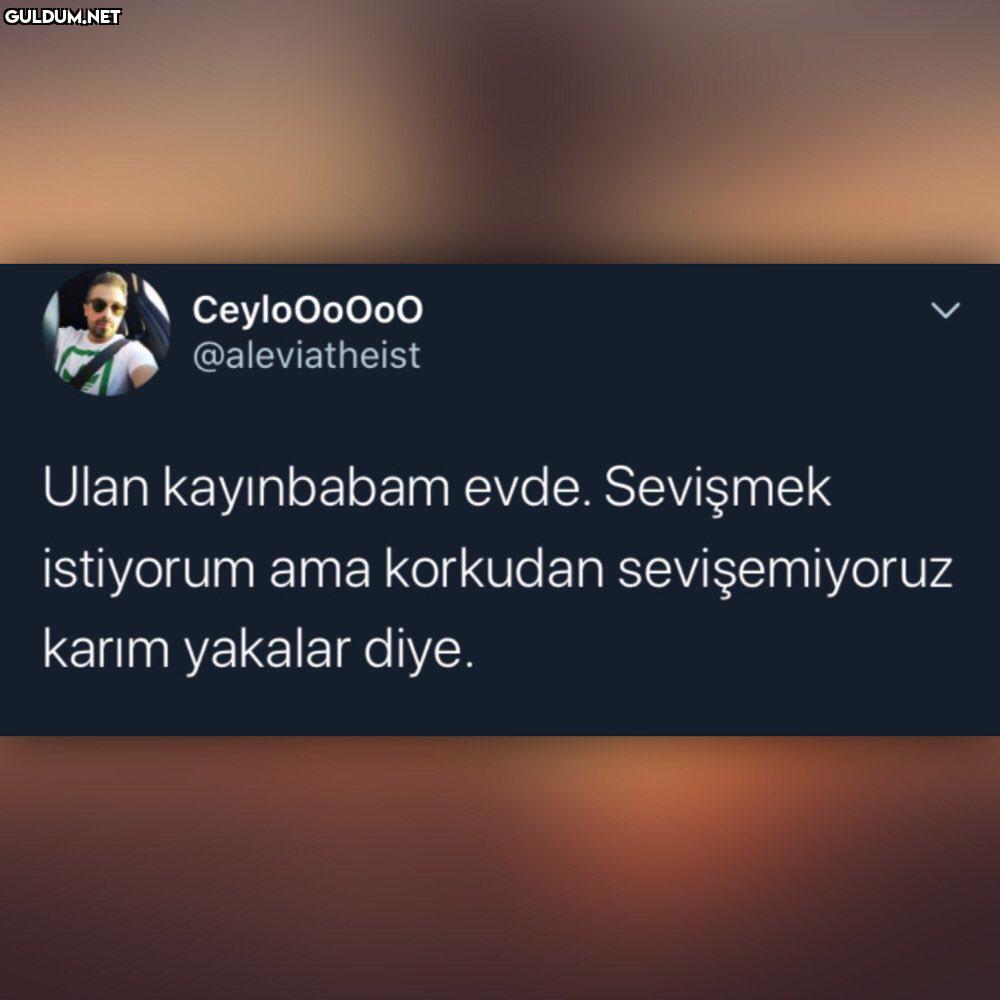 bu tivitin sonunu okumayın...