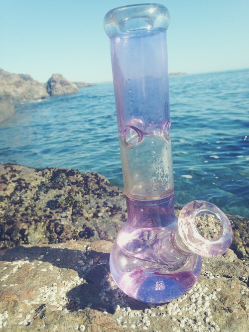 XXX thepinkcrystal: my 4/20 was so beautiful photo