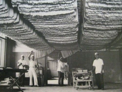 Drying pasta, early 20th century.