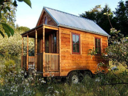 And I want to build a mobile tiny home for