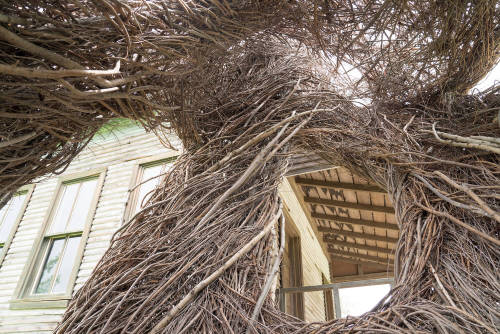 &ldquo;Daydreams,” Tippet Rise Art Center, Fishtail, Montana, USA, Cushing Terrell in