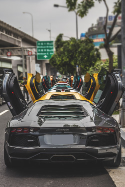 johnny-escobar:  Lamborghini Aventador’s 