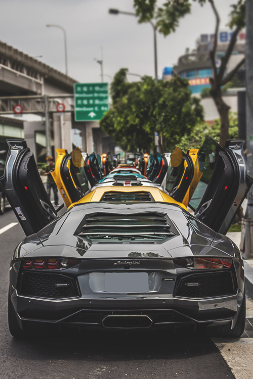 flakkabey:   Lamborghini Aventador’s  