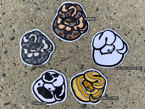 https://www.etsy.com/shop/ToadshadeTerrariumShop update! Added a ton of ball python vinyl stickers t