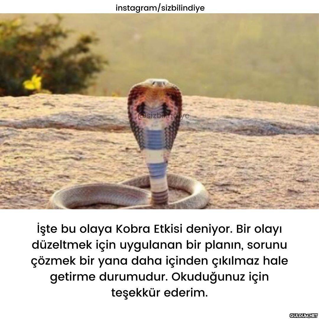 İlginç bir hikayeyle...