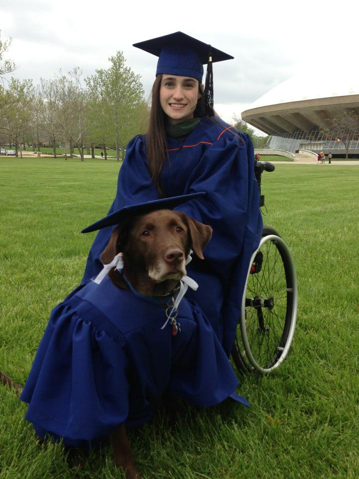 Dog graduation cap and gown