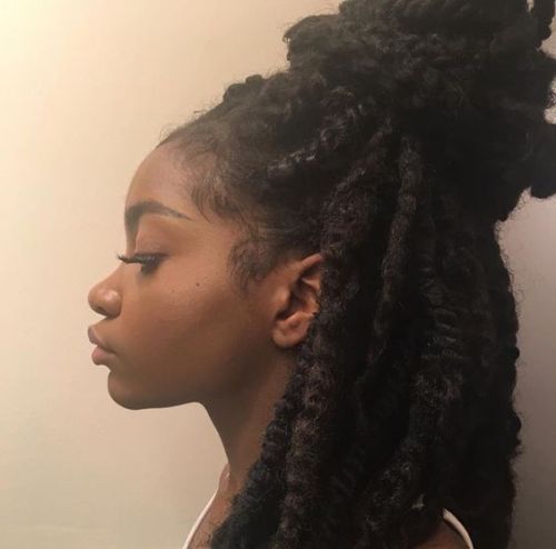 curlsbraidsandafros:braids