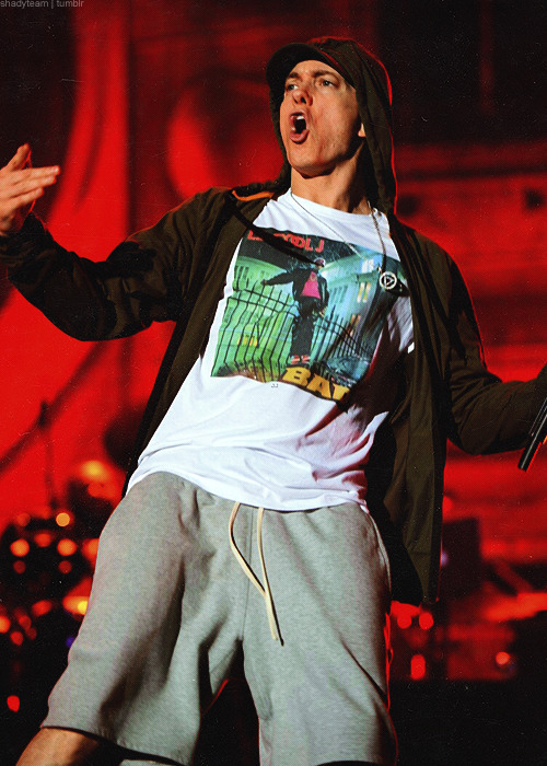 shadyteam:  Eminem at Lollapalooza 2014. 