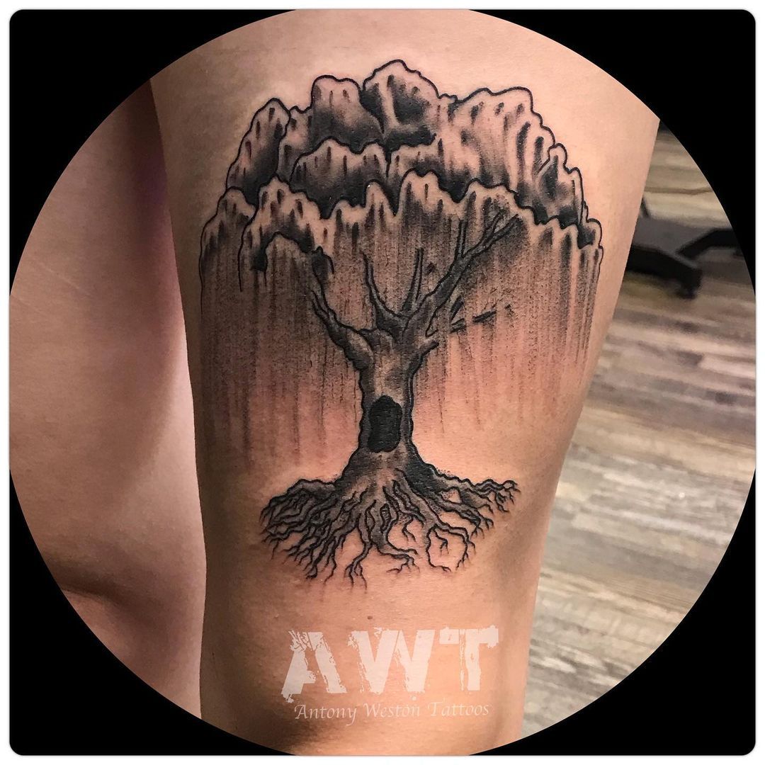 Vickie Chiang on Instagram Willow tree tattoo for MK  treetattoo inked  tree willowtree tattoos blacktattoo blackandgray floraltattoo tattoo 