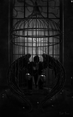 mad-girl-asylum:  Black Crow. 