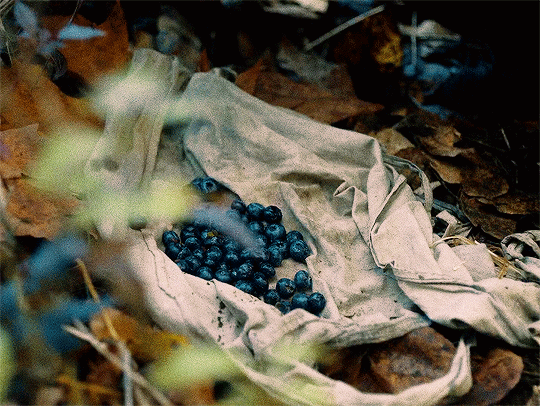 c94b8d539e53faee7a7df0170166614a73363795.gif