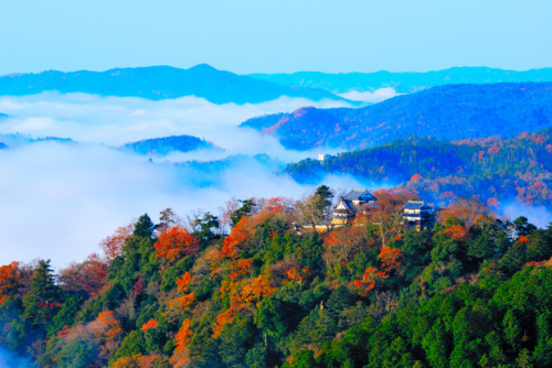 Bitchu Matsuyama Castle (備中松山城)This castle is one of only twelve remaining original castles in Japan