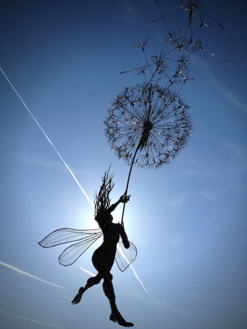 fer1972:  Amazing ‘Fairies with Dandelions’ Wire Sculptures by Robin Wight